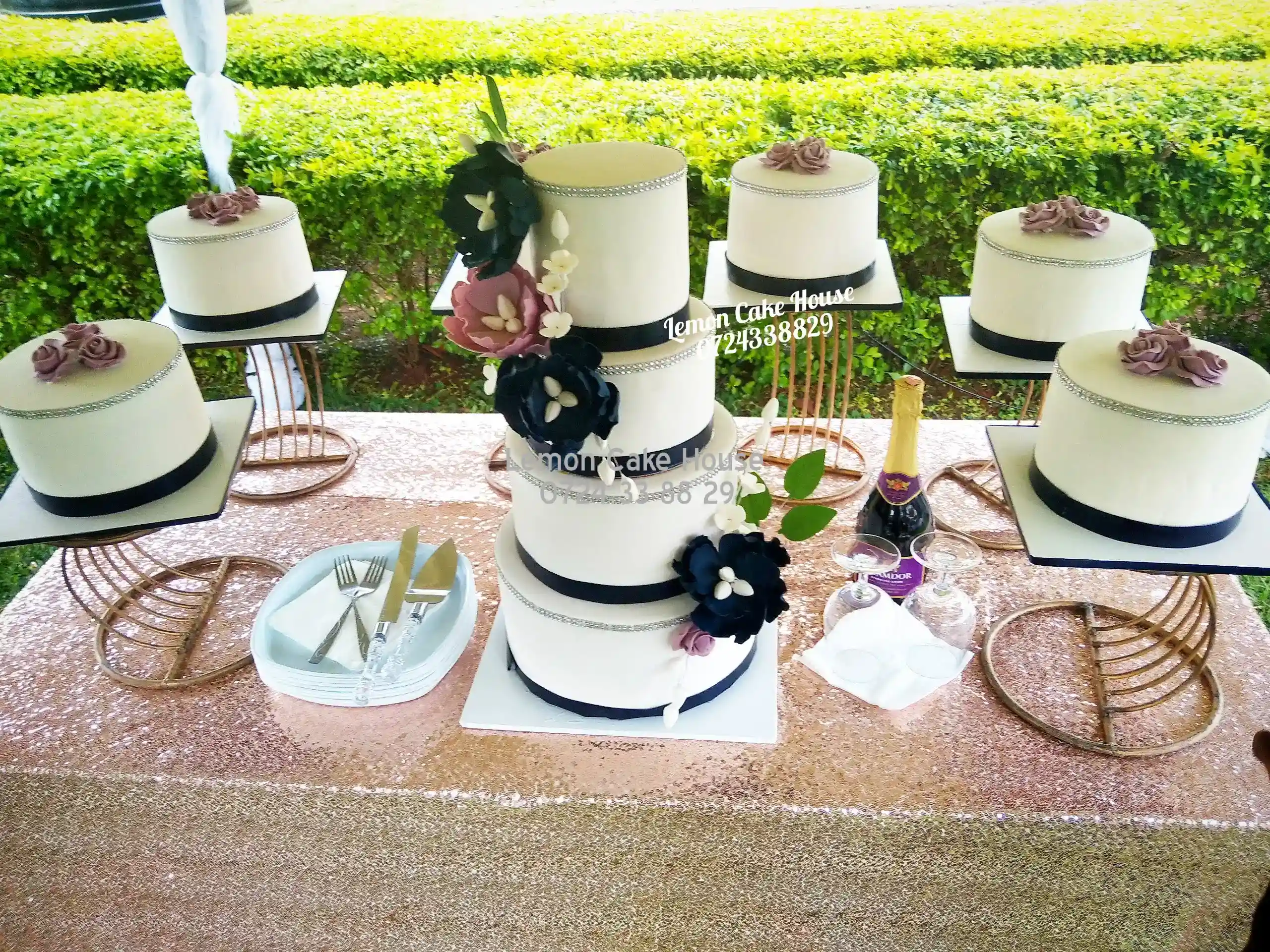 Lemoncake House Gallery Images